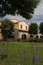 Benvenuti a Collepina - Agriturismo Collepina