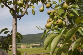  - Agriturismo Collepina